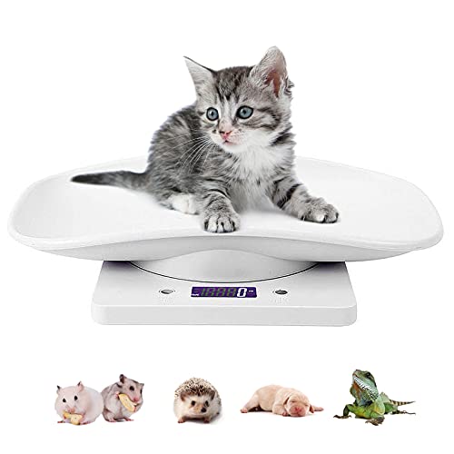 Digital Pet Scale Small Animal Weight Scale Portable Electronic LED Scales Multifunction Kitchen Scale(Max 22 lbs) for Weighing PuppyKittenHamsterHedgehogTortoiseFood