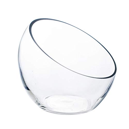 CYS EXCEL Glass Slant Cut Bubble Bowl (H6 W7)  Multiple Size Choices Slanted Globe Bowl Terrarium  Round Flower Vase Centerpiece