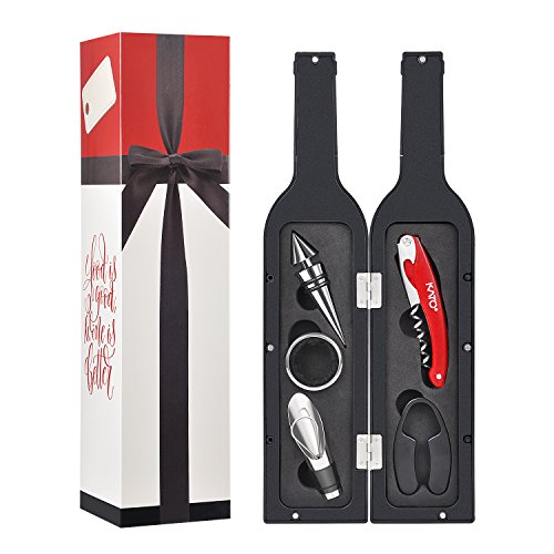 Wine Bottle Opener Set  5 Pcs Wine Corkscrew Screwpull Accessories Kit with Drink Stickers by Kato Great Christams Gifts Silver