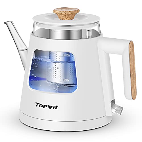 TOPWIT Electric Kettle 10L Electric Tea Kettle with Removable Stainless Steel Infuser BPAFree Electric Glass Kettle with Window Double Wall Water Warmer Gooseneck Kettle Autoshut Off White