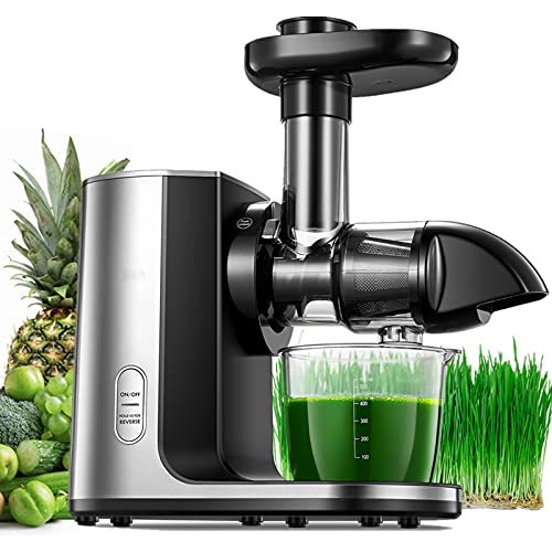 Juicer Machines Slow Masticating Juicer with Reverse Function  Quiet Motor Cold Press Juicer Easy to Clean with Brush Higher Juice Yield Recipes for Vegetables and Fruits
