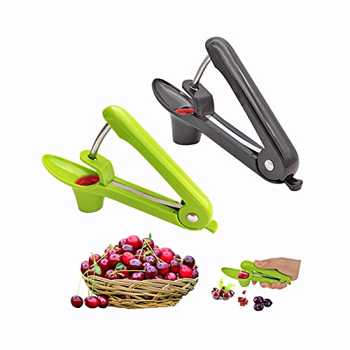 Cherry Pitter Cherry Pitter Tool Olive Pitter Tool Cherry Pitter Stainless Steel Fruit Pit Remover Cherry Pitter Remover Portable Suitable for Cherry Jujube and Red Date Hawthorn 2 Pack