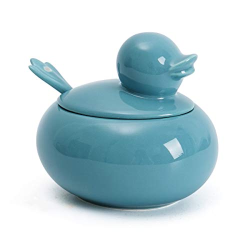 Hsofblues Ceramic Sugar Bowl with Spoon and Lid Cute Duck Farmhouse Style Seasoning Salt Storage Turquoise Blue