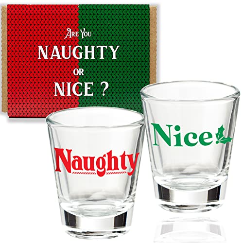 2 Shot Glasses  Christmas Naughty  Nice Novelty Glass Set  15 oz Green Red Fun Gift Wrapped Boxed  Unique Fun Funny Gag Present For Him Her  Liquor Drinking Game