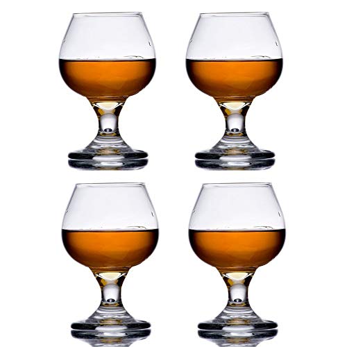 The Bar Glass Brandy Tasting Snifter Glass 55 oz (4 55 oz)