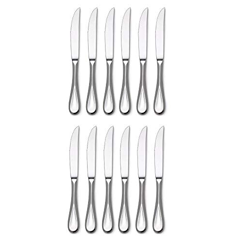 Mikasa Bravo Premium Stainless Steel Steak Knife Silver (Set of 12)