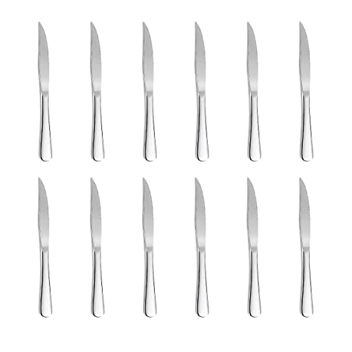 Xingjiake 12piece Bright Silver Steak Knives Steak Knives Set Of 12 Stainless Steel Dinner Knives Set Steak Knife Set Serrated Butter Knife Dishwasher Safe