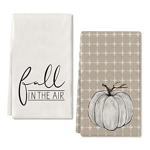 Fall Dish Towels for Fall Decor Grey Pumpkin Kitchen Towels 18x26 Inch Buffalo Plaid Autumn Thanksgiving Ultra Absorbent Bar Drying Cloth Tea Sign Hand Towel for Cooking Set of 2