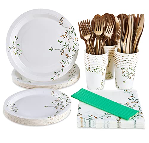 200 PACK Disposable Dinnerware Set Severs 25 GuestsPaper Plate Set50 Paper Plates25 Plastic SilverwarePaper CupsNapkins and StrawsDisposable Party Dinnerware for Graduation Birthday Wedding