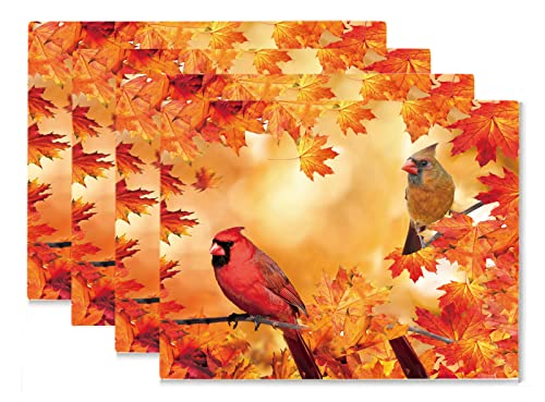 Fall Placemats 12 x 16 Inch Cardinal Maple Leaf Autumn Harvest Holiday Table Dining Placemats Home Kitchen Decor Set of 4