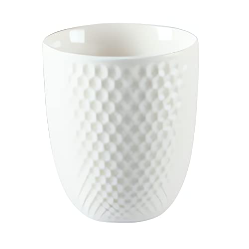 Toichi Japanese Ceramic Tea Cups 6 oz Teacups Tea Gifts Set of 1(White)