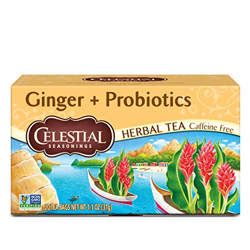 Celestial Seasonings Herbal Tea Ginger Plus Probiotics Caffeine Free 20 Count (Pack of 6)