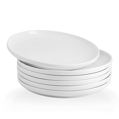 Kanwone Porcelain Dinner Plates  10 Inch  Set of 6 White Microwave and Dishwasher Safe Plates