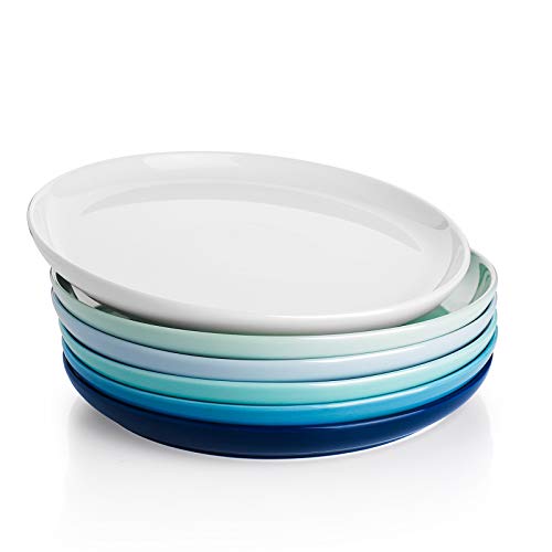 Sweese 154003 Porcelain Round Dinner Plates  10 Inch  Set of 6 Cool Assorted Colors