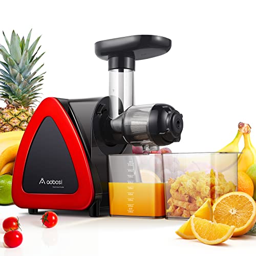 Aobosi Slow Masticating Juicer Machine Cold Press juicer Extractor Quiet Motor Reverse Function High Nutrient Fruit and Vegetable Juice with Juice Jug  Brush for Cleaning