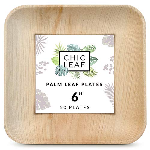 Chic Leaf Palm Leaf Plates Like Bamboo Plates Disposable 6 Inch Square (50 Plates)  Appetizer and Dessert Plates Set  100 Compostable Biodegradable Eco Friendly Plates  Elegant and Sturdy Design