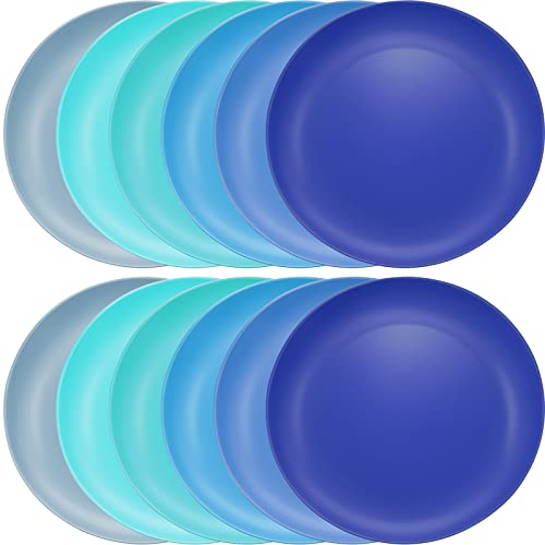 12 Pieces 10 Inch Plastic Plates Reusable Dishwasher Safe Plates Lightweight and Unbreakable Dinner Plates in Coastal Colors for Lunch Kitchen Party Outdoor Picnic Use