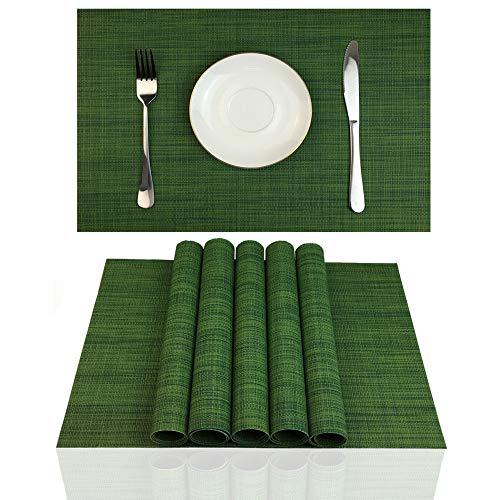 Placemats Set of 6 for Dining Table Stain Resistant Washable PVC Kitchen Table Mats Woven Vinyl Wipeable Table PlacematEasy to Clean(Algae Green)