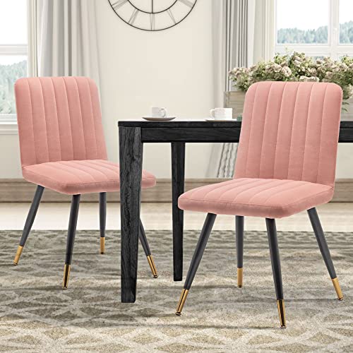 AKLAUS Dining Chairs Set of 2Pink Dining ChairsUpholstered Dining Chairs with Gold and Black Metal LegsChairs for Dining Room Living Room