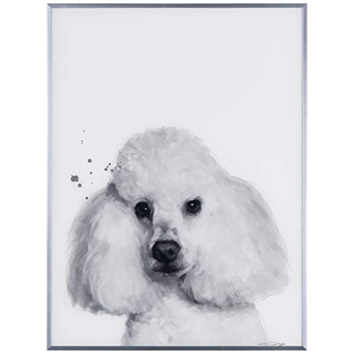 Empire Art Direct Poodle Black and White Pet Dog Wall Art Glass Encased with Gunmetal Anodized Frame ContemporaryReady to HangLiving RoomBedroom ＆ Office 18 in x 1 in x 24