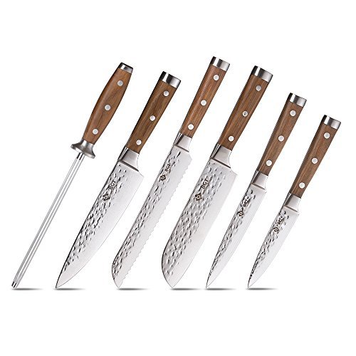 BGT Japanese 67 Layer High Grade VG10 Super Damascus Steel Knives Sharp Teak Handle Professional Hammered Kitchen Knife Set with Knife Roll Bag 6Pcs Set (Silver Blade)