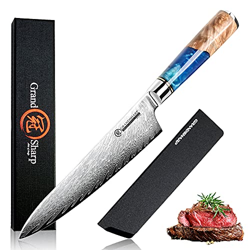 Chef Knife Damascus Japanese 8 inch VG10 Kitchen Knife 67Layer Damascus Steel Pro Ergonomic Superb Sharp Edge Gyuto Chef KnifeGift BoxBlue Resin Handle