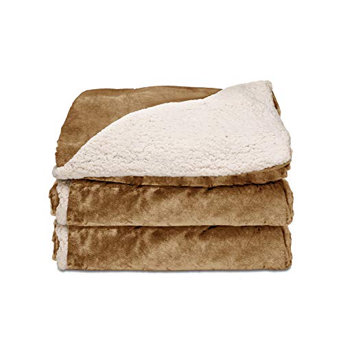 Sunbeam Royal Mink Sherpa Honey Heated Throw