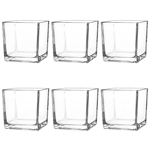 Comrzor Set of 6 Square Glass Vases 4 x 4 x 4 Clear Flower Vase Plant Terrarium Candle Holder for Wedding Centerpiece Office Decorations Home Décor Parties and Events
