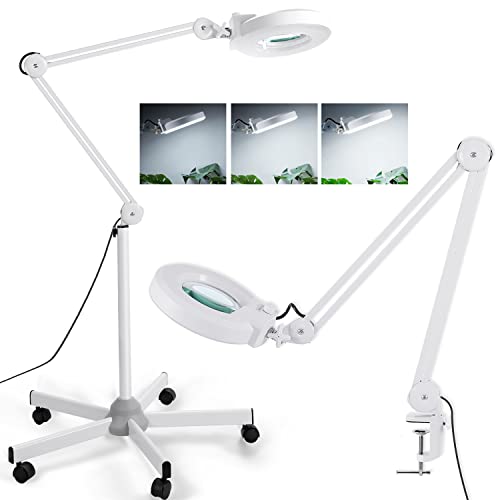 8X Magnifying Glass with Light and Stand Veemagni Floor Lamp with 5Wheel Rolling Base for Facials Lash Estheticians 1500 Lumens Dimmable LED Lighted Magnifier for Eyelash Extensions Reading Crafts
